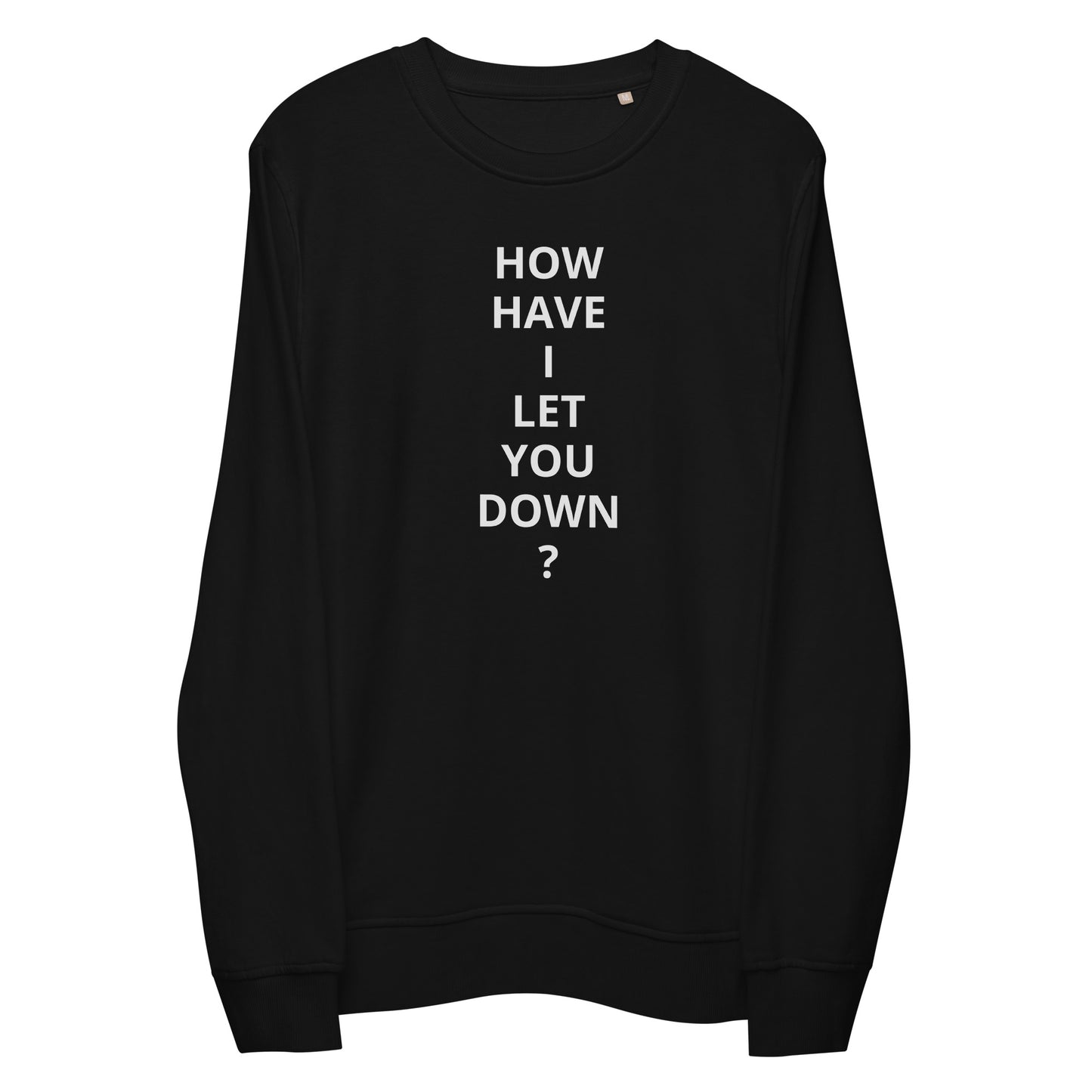 "HOW HAVE I LET YOU DOWN?" sweatshirt