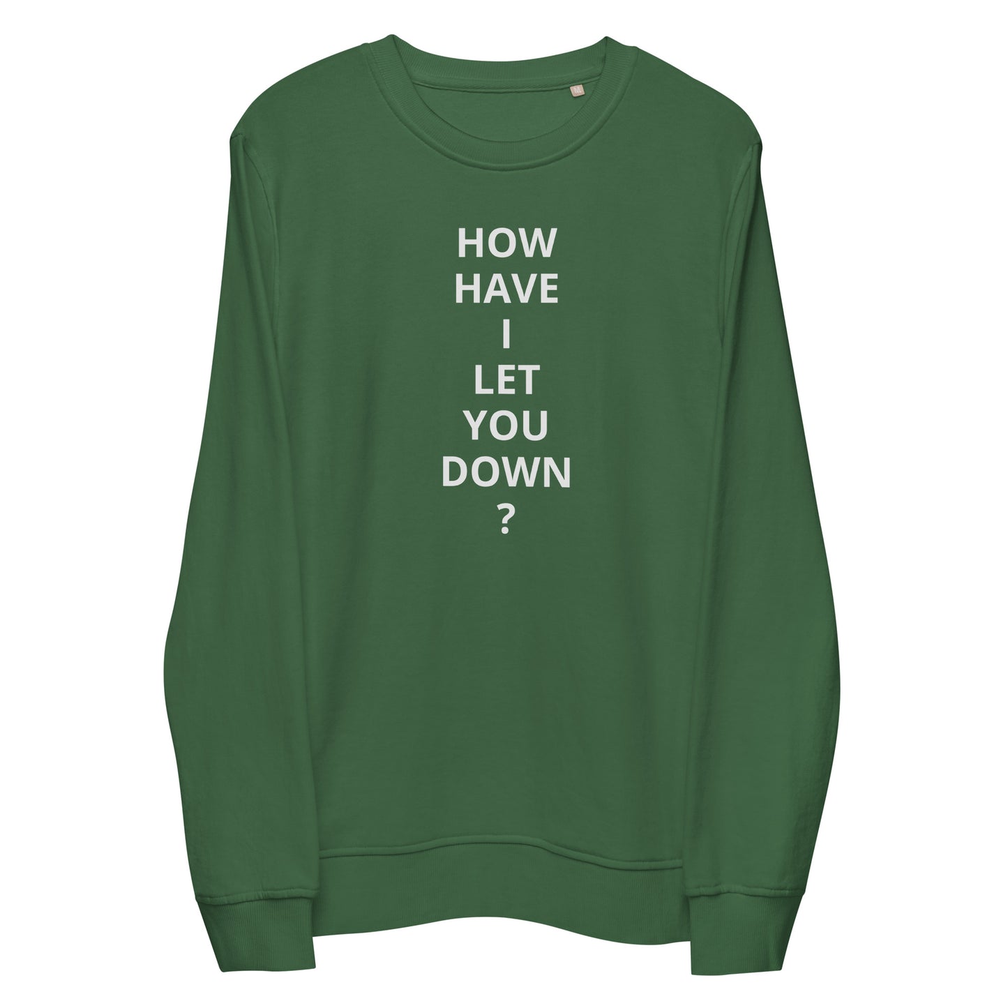 "HOW HAVE I LET YOU DOWN?" sweatshirt